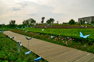 公园绿道风景