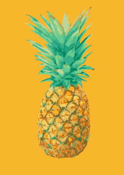 菠蘿