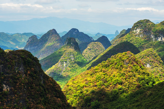 山景