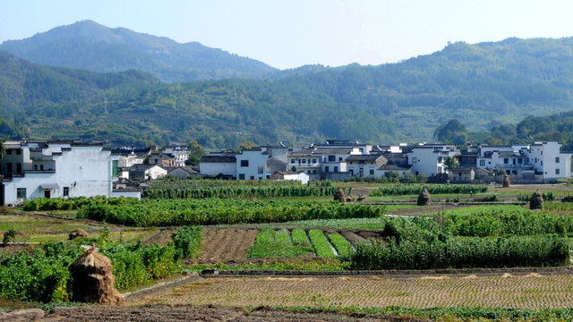 江南山村