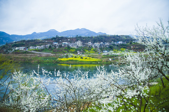 春天的乡村