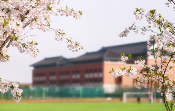 浙江大学舟山校区校园风景建筑