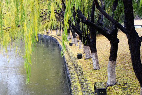 浙江大学校园风景建筑