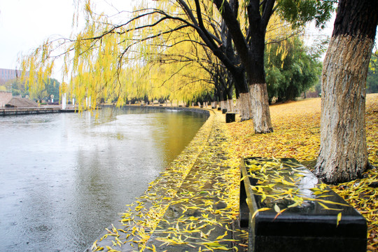 浙江大学校园风景建筑