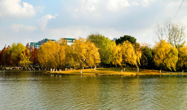 浙江大学校园风景建筑