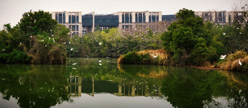 浙江大学紫金港校区校园风景建筑