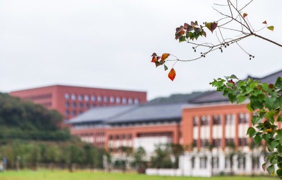 浙江大学舟山校区校园建筑风景