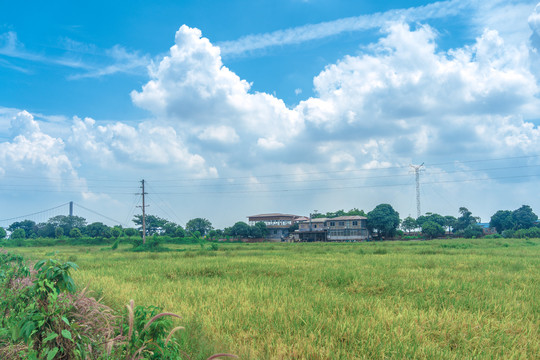 大吉沙岛田园风光