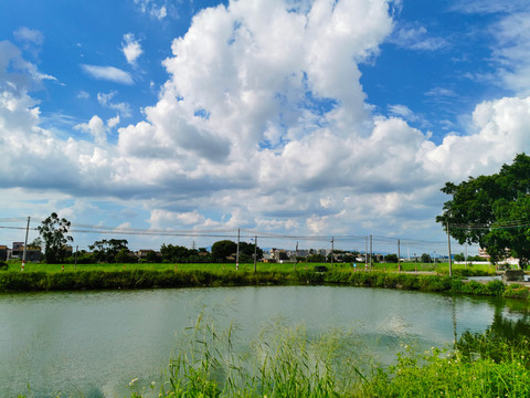 江门台山乡村风景