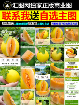 黃金蜜瓜詳情頁(yè)