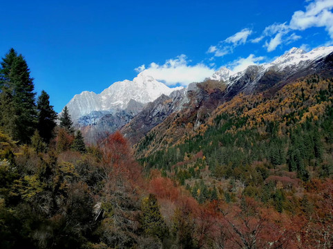 远处的冰山