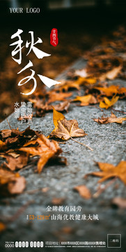 原創(chuàng)秋分節(jié)氣意境地產(chǎn)廣告