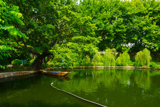 可园东湖风光