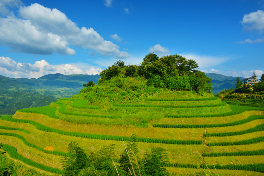 龙脊梯田