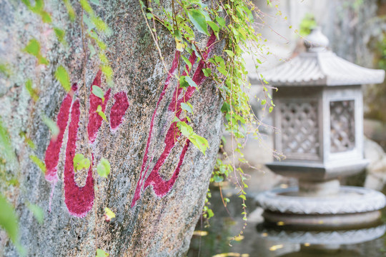 厦门岛南普陀寺