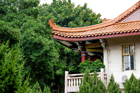 厦门岛南普陀寺