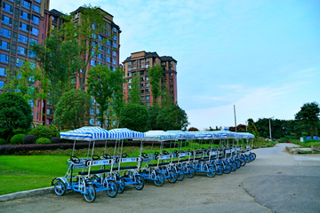 公园休闲自行车