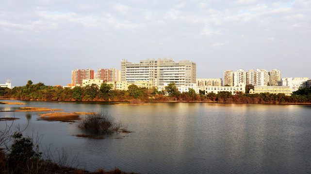 湖畔风景