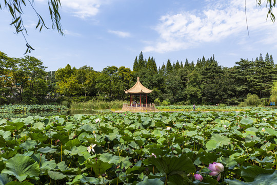 青岛中山公园