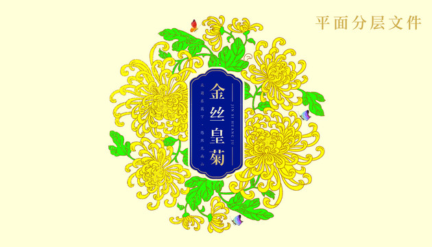 金丝皇菊