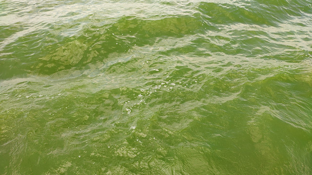 绿色海水