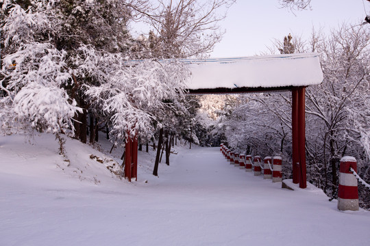 雪景道路