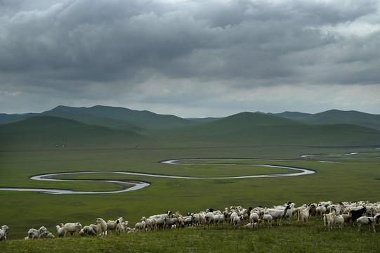 草原上的曲水与羊群