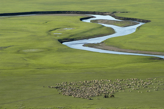 草原上的曲水与羊群