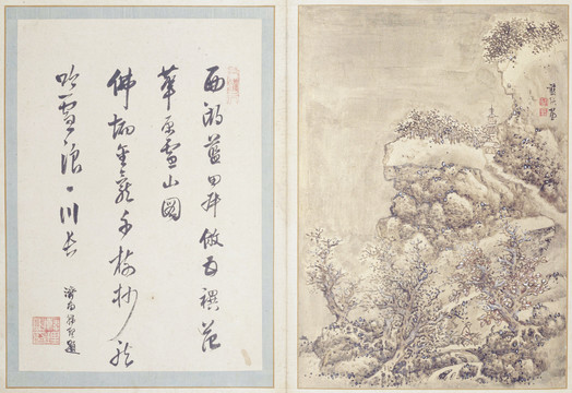 藍(lán)瑛澄觀圖