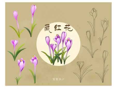 藏紅花
