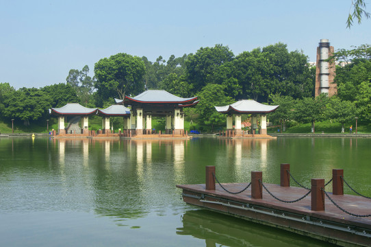 千灯湖湖岸情景