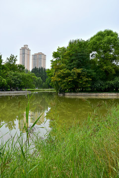 兰州植物园