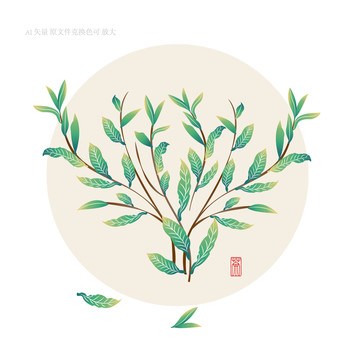 茶葉插畫