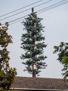 仿松树手机信号塔