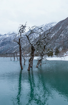 四姑娘山雪景