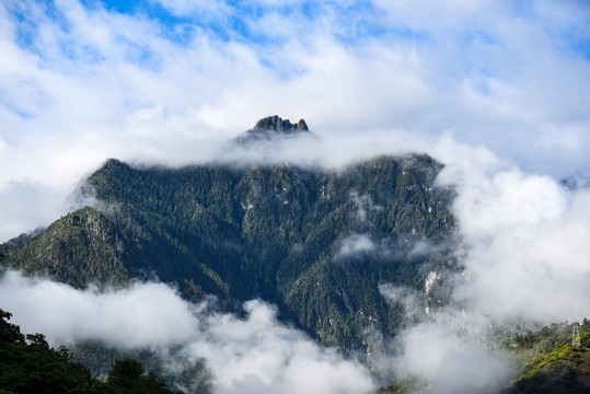 大凉山1水墨画1雾景