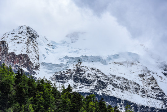 稻城亚丁1雪山1草地1旅游