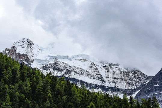 稻城亚丁1雪山1草地1旅游