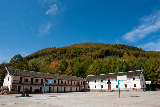 重庆巫山梨子坪森林公园