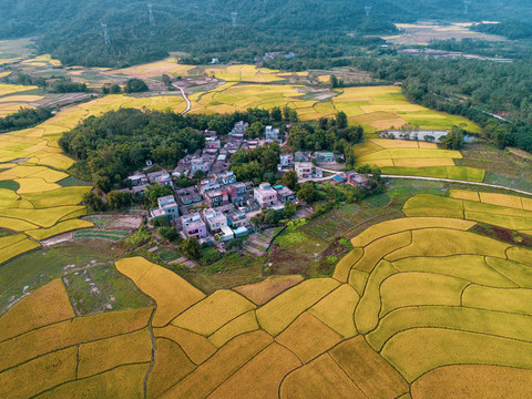 田园风光