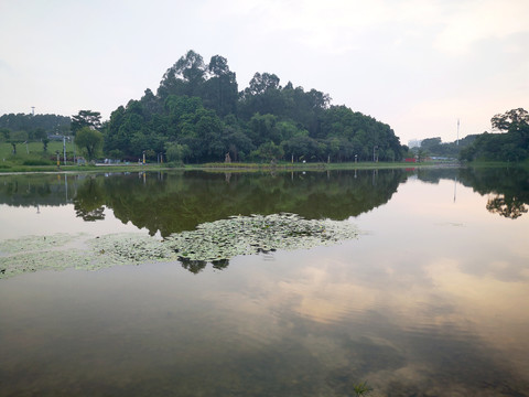 湖水湖面