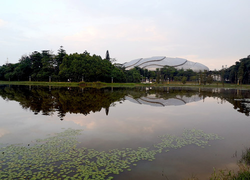 广州大学城中心湖公园