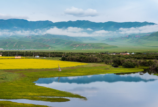 甘肃省甘南夏河县桑科湿地