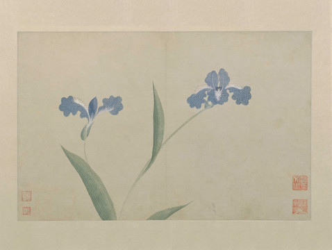 文俶花卉圖冊(cè)頁(yè)