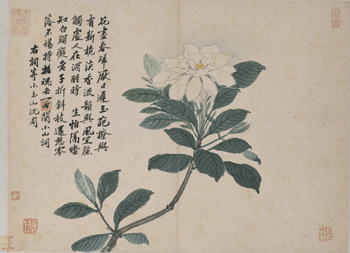 沈周臥游圖冊(cè)