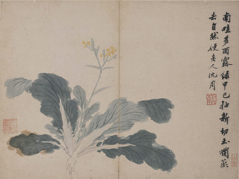 沈周臥游圖冊