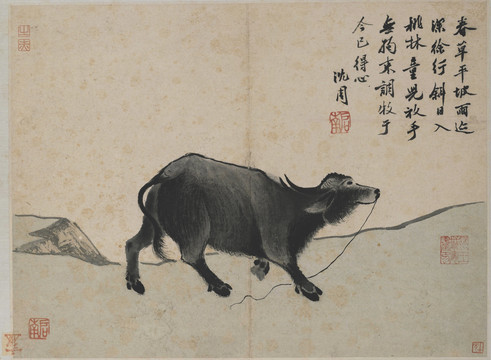 沈周臥游圖冊