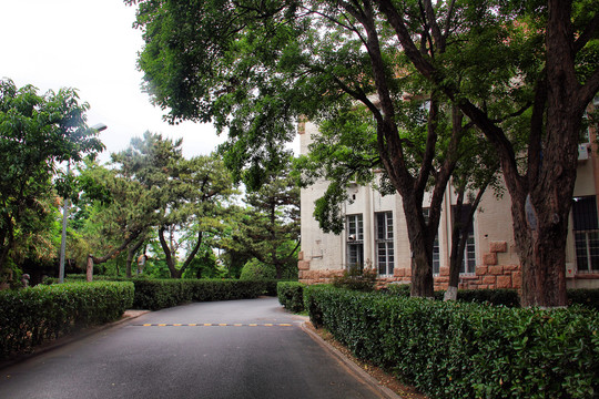 中国海洋大学鱼山校区校内风景