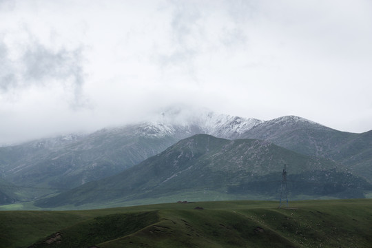 青海雪山草地