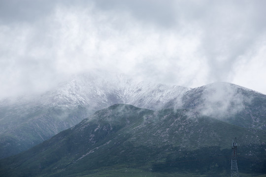 青海雪山草地